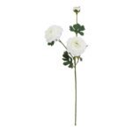 The Natural Garden Collection White Ranunculus