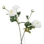 The Natural Garden Collection White Ranunculus 2 - The Rustic Home