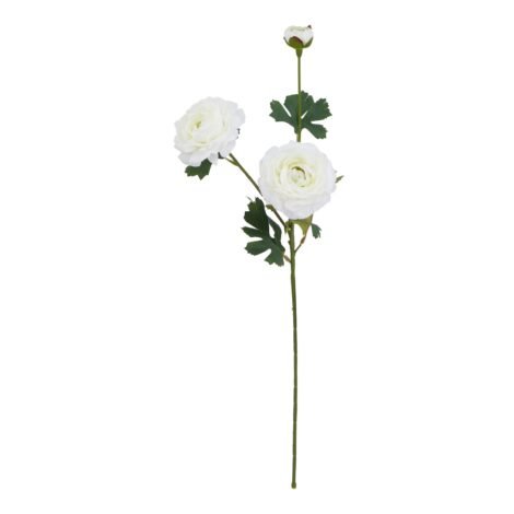 The Natural Garden Collection White Ranunculus