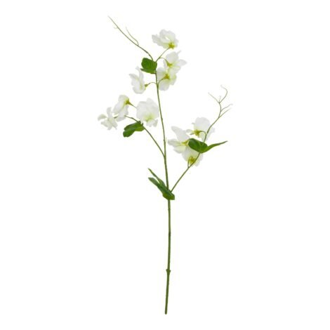 The Natural Garden Collection White Sweetpea Stem