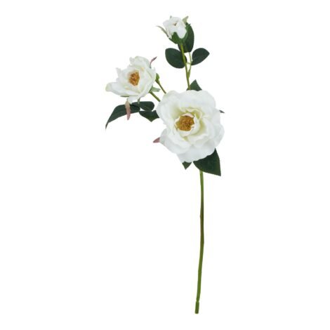 The Natural Garden Collection White Tea Rose