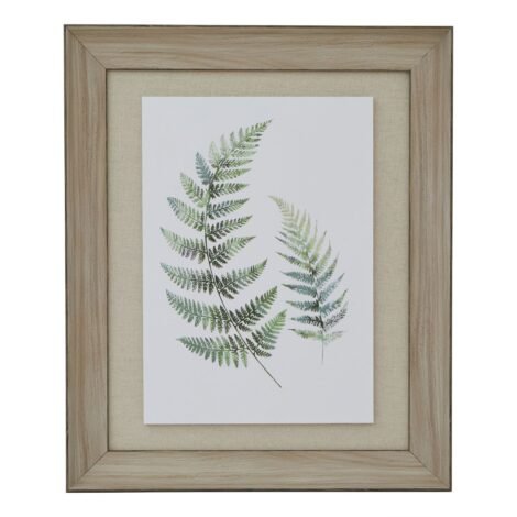 Watercolour Fern Duo In Washed Wood Frame