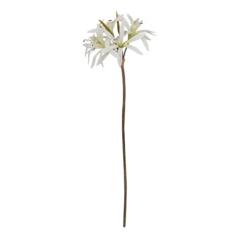 The Natural Garden Collection White Nerine Lily Stem